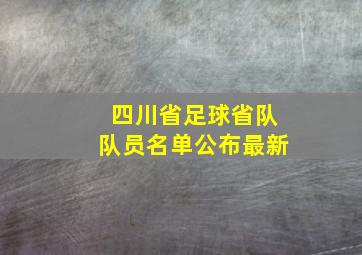 四川省足球省队队员名单公布最新