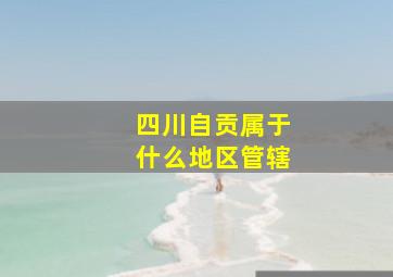 四川自贡属于什么地区管辖