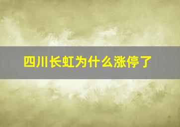 四川长虹为什么涨停了