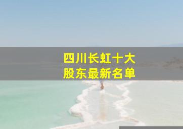 四川长虹十大股东最新名单