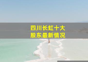 四川长虹十大股东最新情况