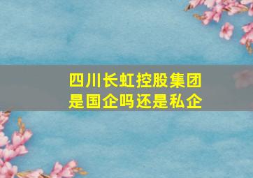 四川长虹控股集团是国企吗还是私企