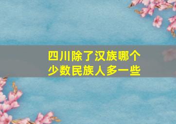 四川除了汉族哪个少数民族人多一些