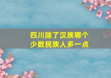 四川除了汉族哪个少数民族人多一点