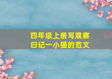 四年级上册写观察曰记一小猫的范文