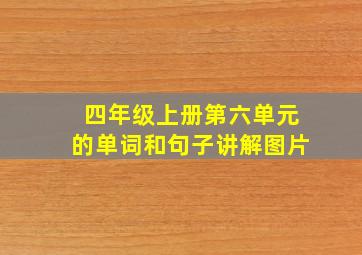 四年级上册第六单元的单词和句子讲解图片