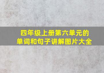 四年级上册第六单元的单词和句子讲解图片大全