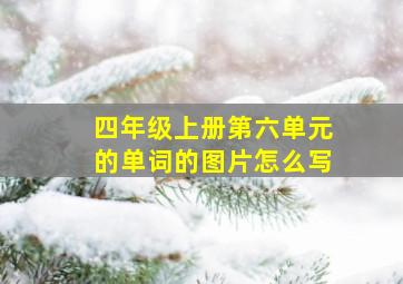 四年级上册第六单元的单词的图片怎么写