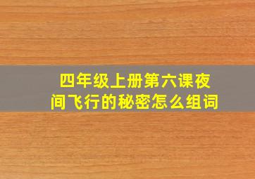 四年级上册第六课夜间飞行的秘密怎么组词