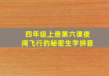 四年级上册第六课夜间飞行的秘密生字拼音