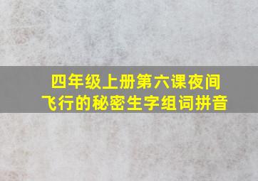 四年级上册第六课夜间飞行的秘密生字组词拼音