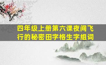 四年级上册第六课夜间飞行的秘密田字格生字组词