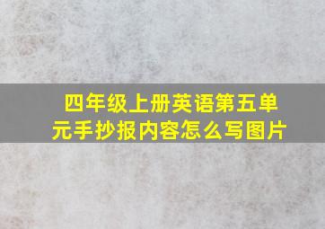 四年级上册英语第五单元手抄报内容怎么写图片