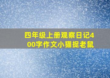 四年级上册观察日记400字作文小猫捉老鼠