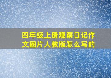 四年级上册观察日记作文图片人教版怎么写的