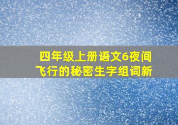 四年级上册语文6夜间飞行的秘密生字组词新