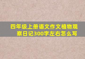 四年级上册语文作文植物观察日记300字左右怎么写