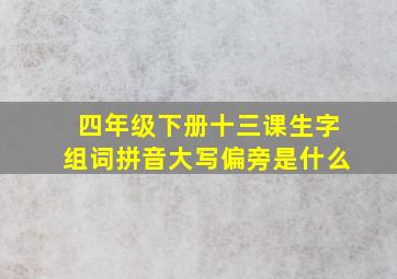 四年级下册十三课生字组词拼音大写偏旁是什么