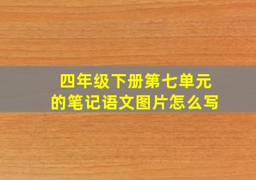 四年级下册第七单元的笔记语文图片怎么写