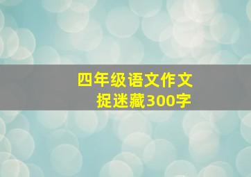 四年级语文作文捉迷藏300字