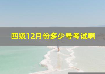 四级12月份多少号考试啊