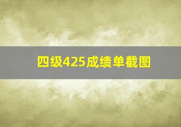 四级425成绩单截图