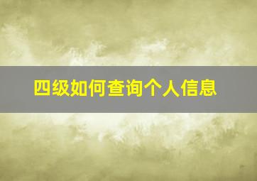 四级如何查询个人信息