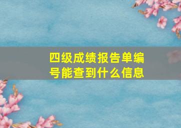 四级成绩报告单编号能查到什么信息