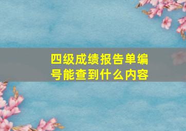 四级成绩报告单编号能查到什么内容