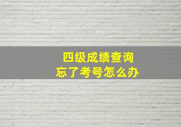 四级成绩查询忘了考号怎么办