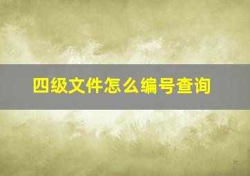 四级文件怎么编号查询