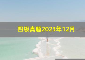 四级真题2023年12月