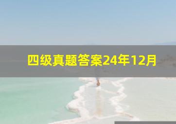 四级真题答案24年12月