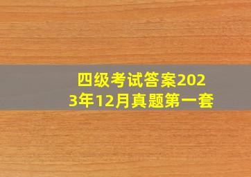 四级考试答案2023年12月真题第一套