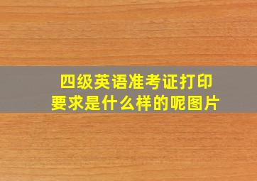 四级英语准考证打印要求是什么样的呢图片