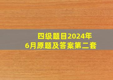 四级题目2024年6月原题及答案第二套