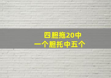 四胆拖20中一个胆托中五个