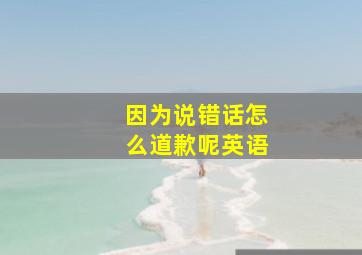 因为说错话怎么道歉呢英语