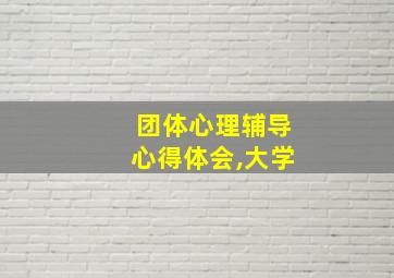 团体心理辅导心得体会,大学