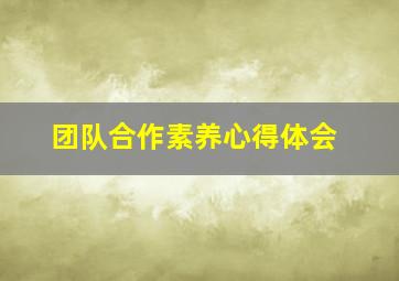 团队合作素养心得体会