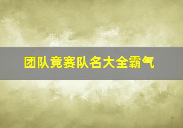 团队竞赛队名大全霸气