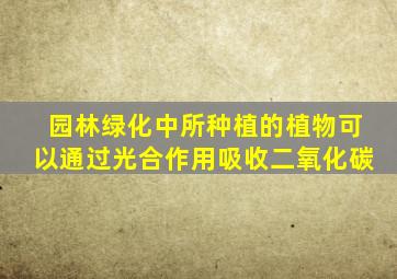 园林绿化中所种植的植物可以通过光合作用吸收二氧化碳