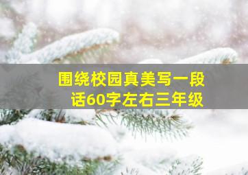 围绕校园真美写一段话60字左右三年级