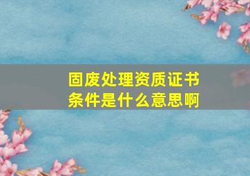 固废处理资质证书条件是什么意思啊