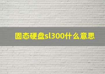 固态硬盘sl300什么意思