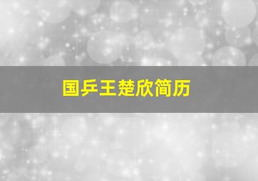 国乒王楚欣简历