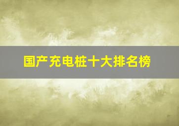 国产充电桩十大排名榜