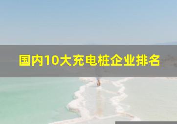 国内10大充电桩企业排名