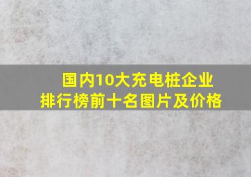 国内10大充电桩企业排行榜前十名图片及价格