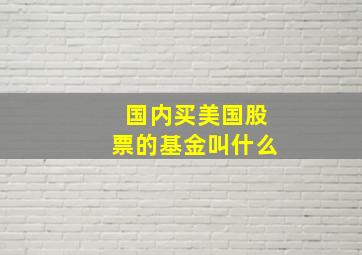 国内买美国股票的基金叫什么